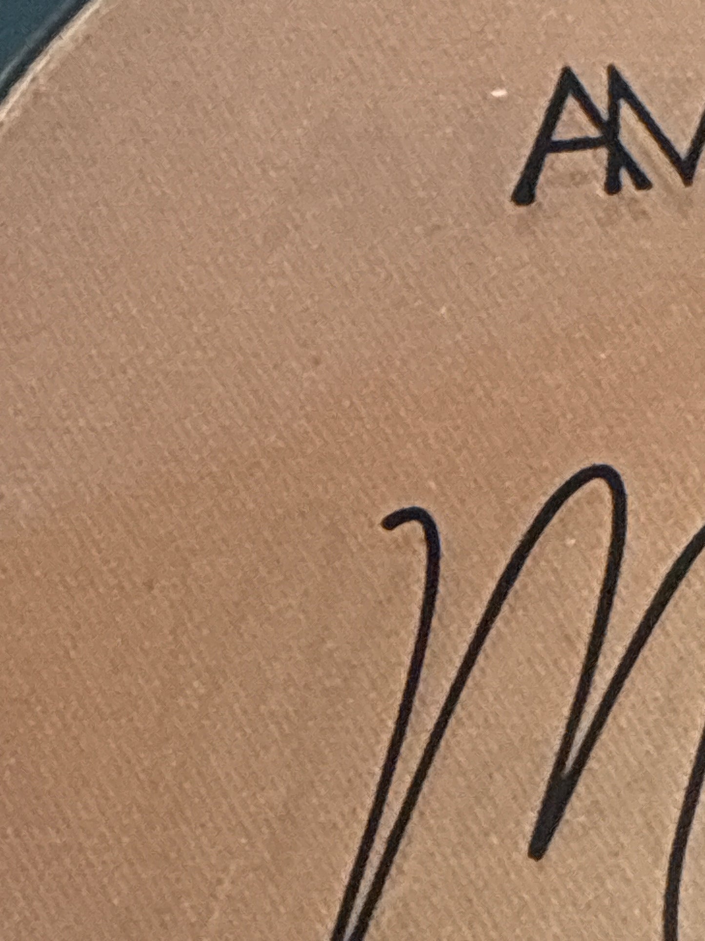 Amuse matte powder blush