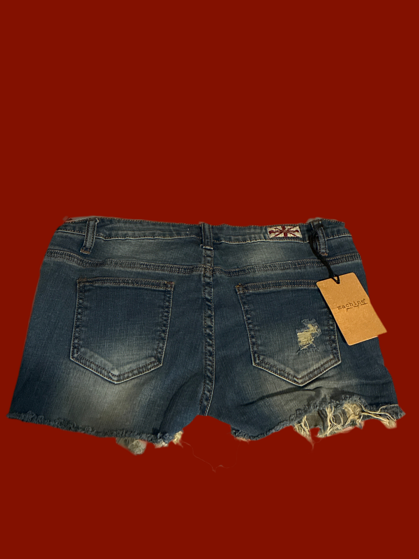 Distressed Shorts