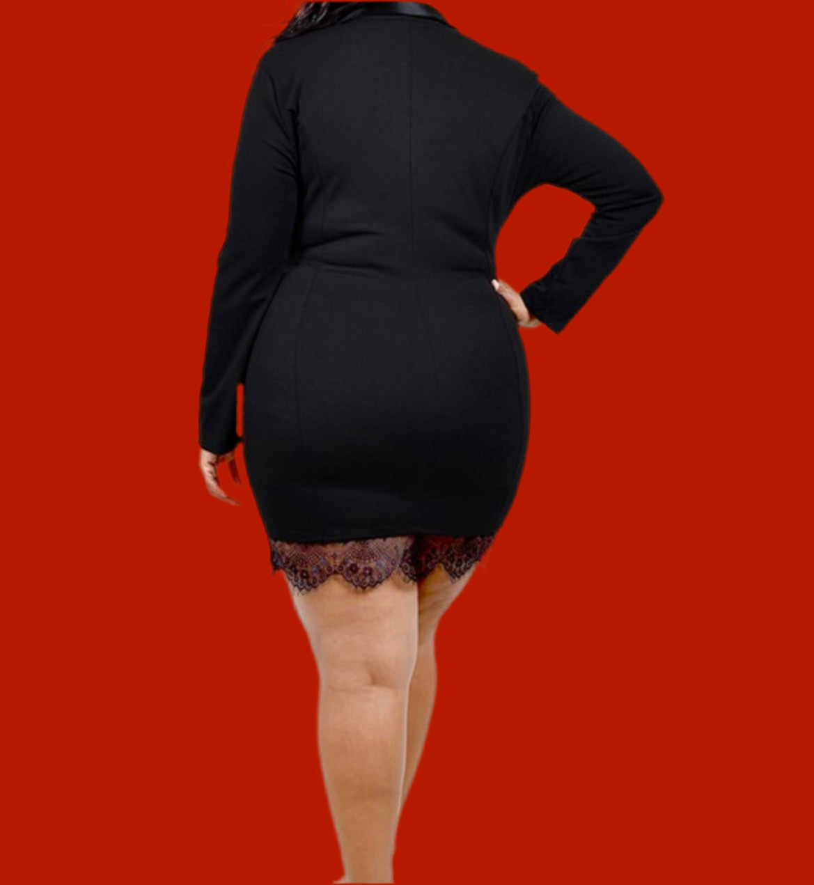 Long Sleeve bodycon dress