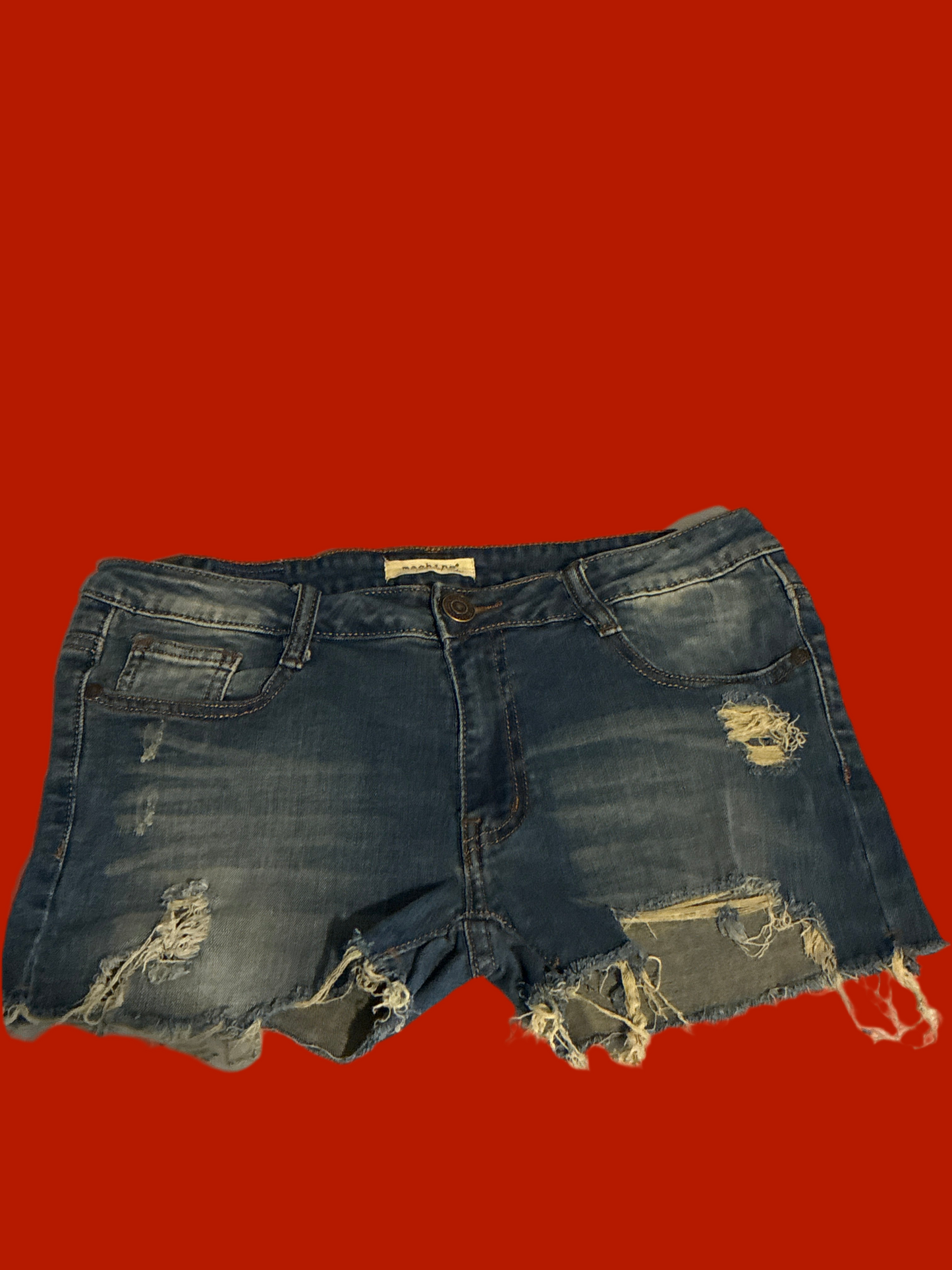 Distressed Shorts