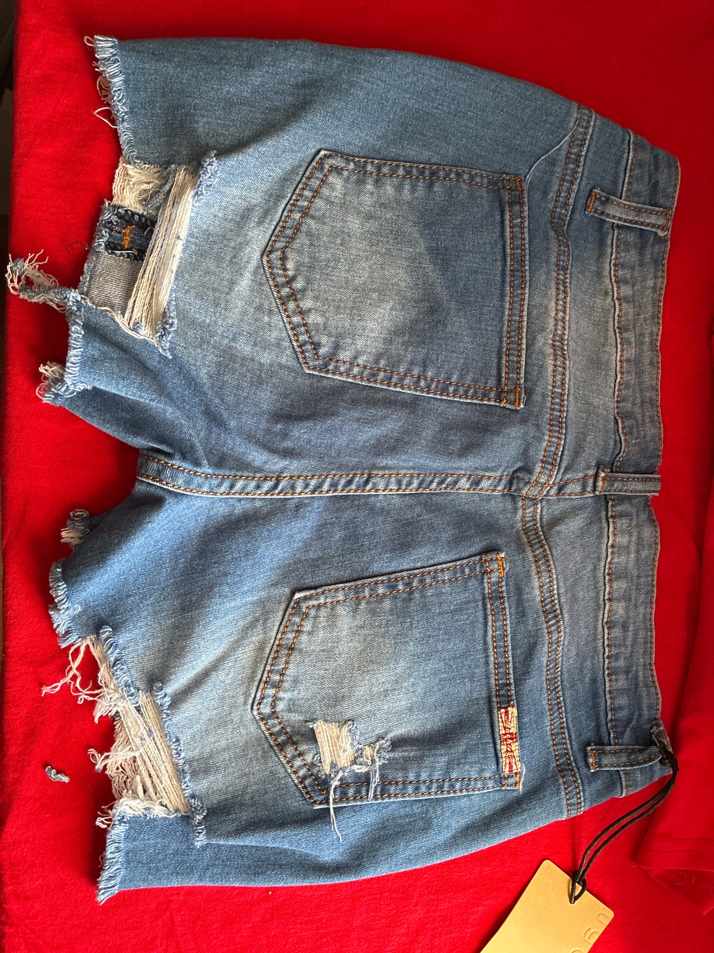 Distressed Shorts
